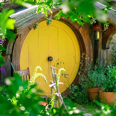 Hobbit Door