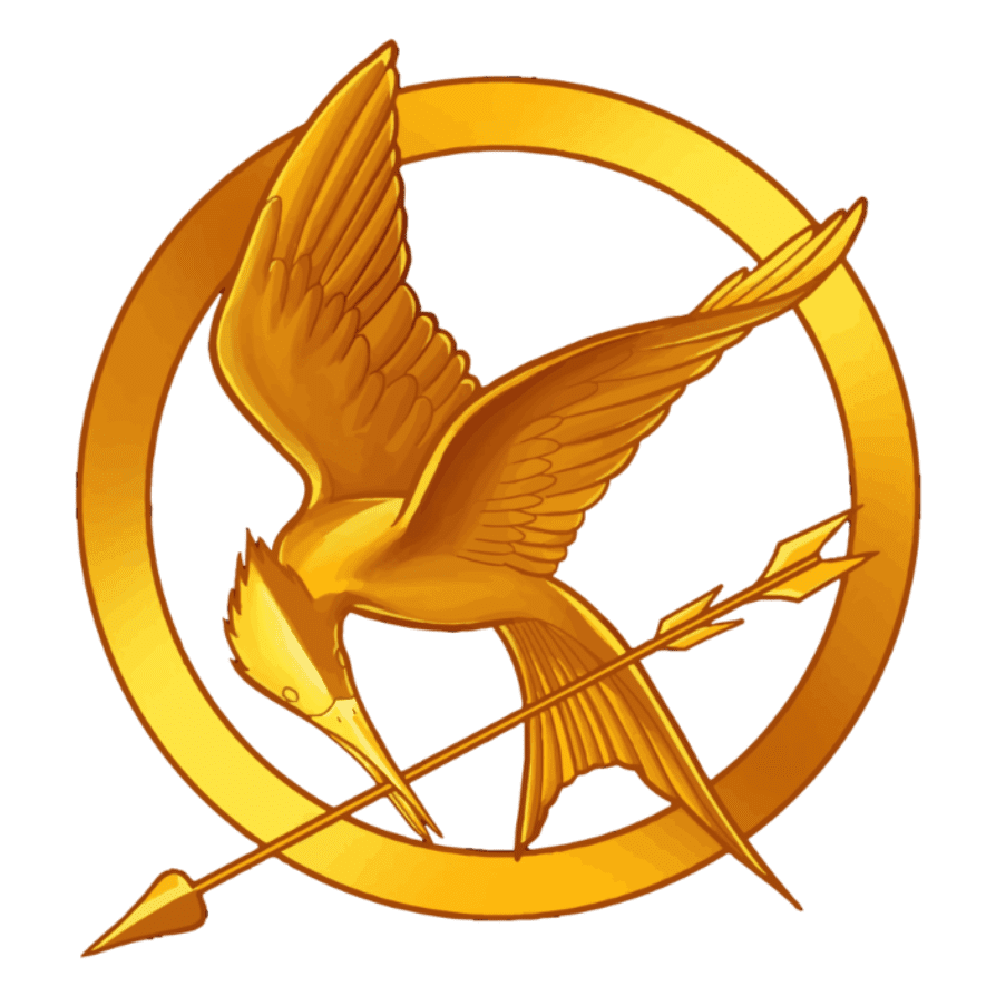 Hunger Games Pin